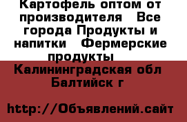 Картофель оптом от производителя - Все города Продукты и напитки » Фермерские продукты   . Калининградская обл.,Балтийск г.